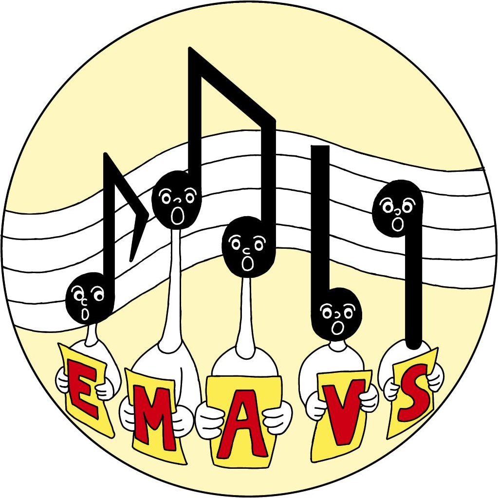 Logo officiel de l&rsquo;ENAVS
